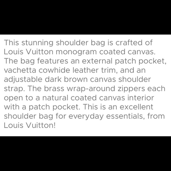 Louis Vuitton Reporter PM - Picture 13 of 14